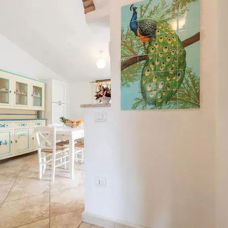 Two Flat With Stunning Terrace Near Budoni * Tanaunella